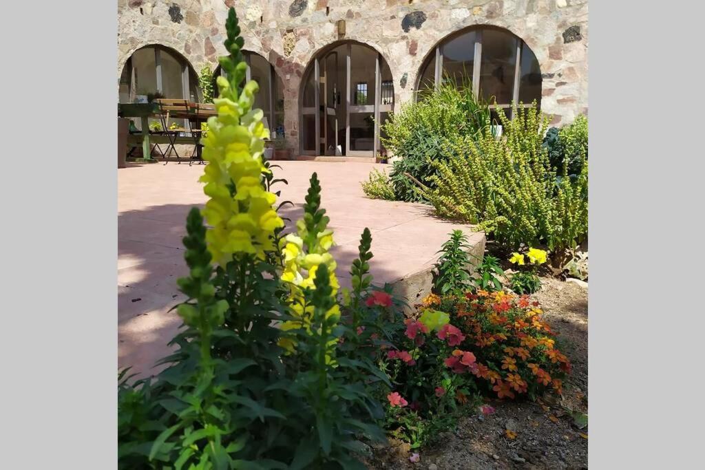 Apartament Eilat Stone - Patio אבן אילת - פטיו Zewnętrze zdjęcie