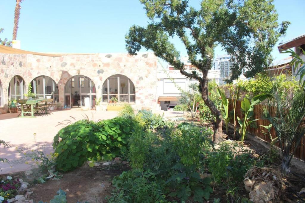 Apartament Eilat Stone - Patio אבן אילת - פטיו Zewnętrze zdjęcie